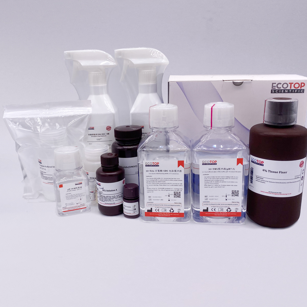 一次性環境采樣拭子包10T