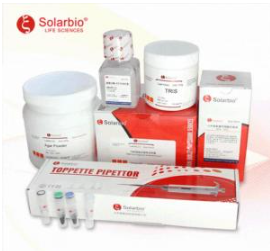 Caspase-9活性檢測試劑盒 Caspase-9活性檢測試劑盒