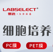 14321 細(xì)胞培養(yǎng)小室，含24孔板（PC膜，6.5mm，孔徑3.0um)