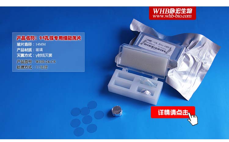WHB-24-CS，WHB，TC處理24孔板圓形細胞爬片（直徑14mm）
