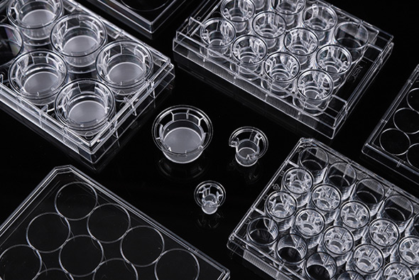 725301，24孔細胞小室, 8um孔徑，PC（聚碳酸酯）膜, 帶蓋,  TC  